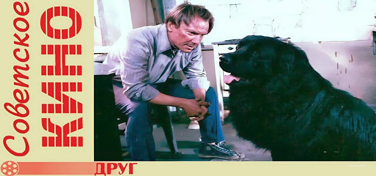 Фильм «Друг» 1987 | Вывод из запоя.инфо