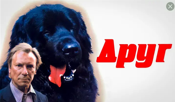 Фильм «Друг» 1987